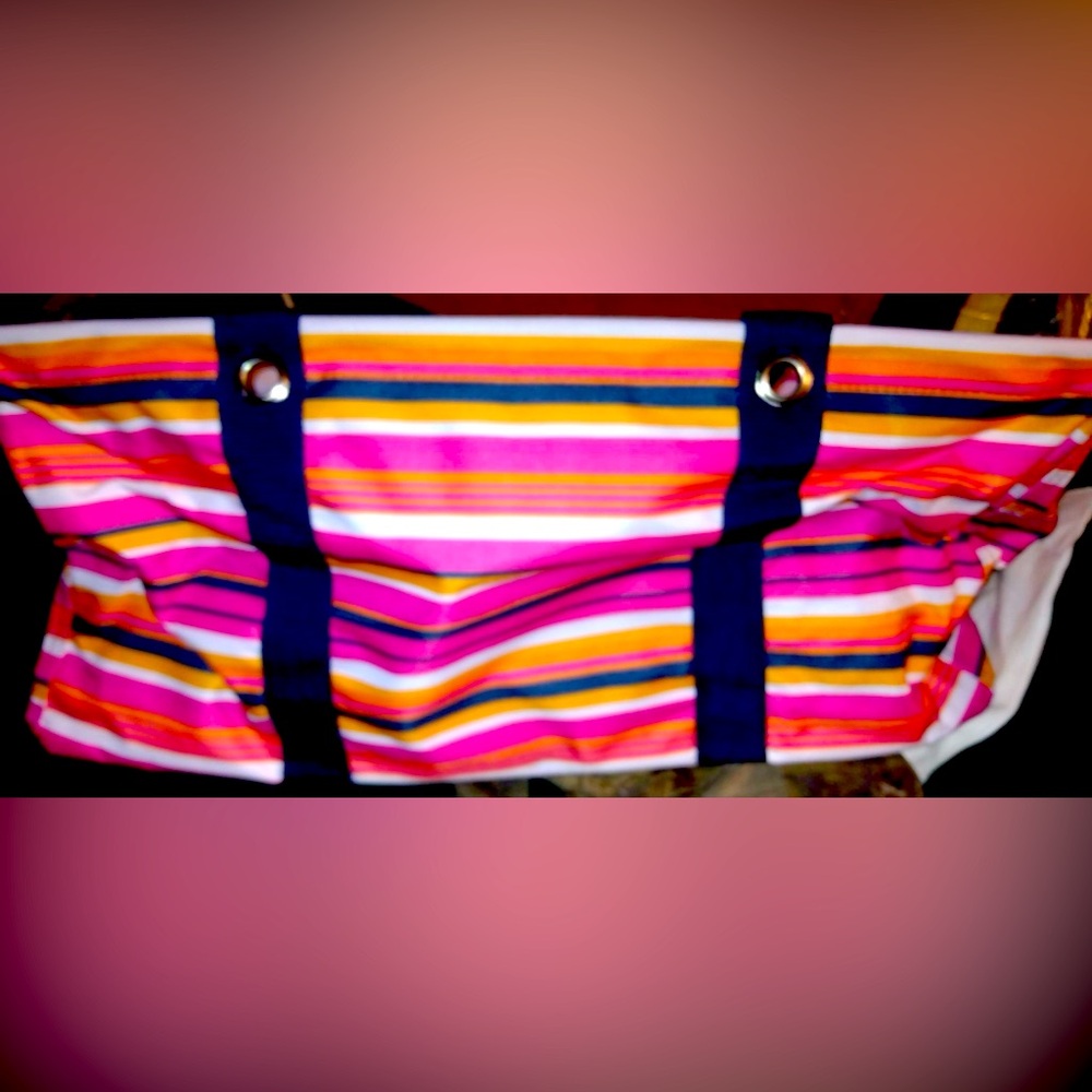 Brand new LARGE Utility Tote in Pinstripe Punch
